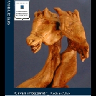 17 b.jpg